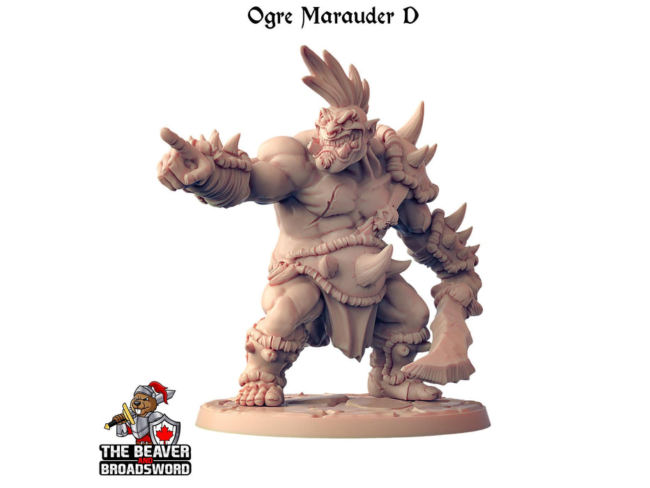 Ogre Marauder with Sword 1