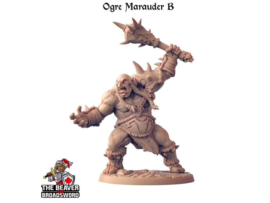 Ogre Marauder with Sword 1