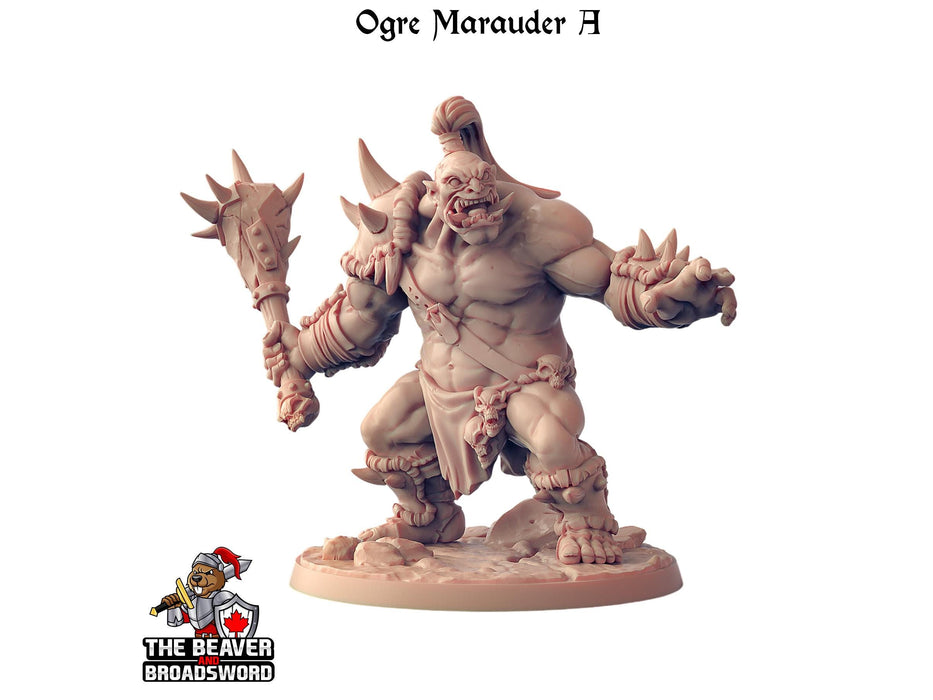 Ogre Marauder with Sword 1