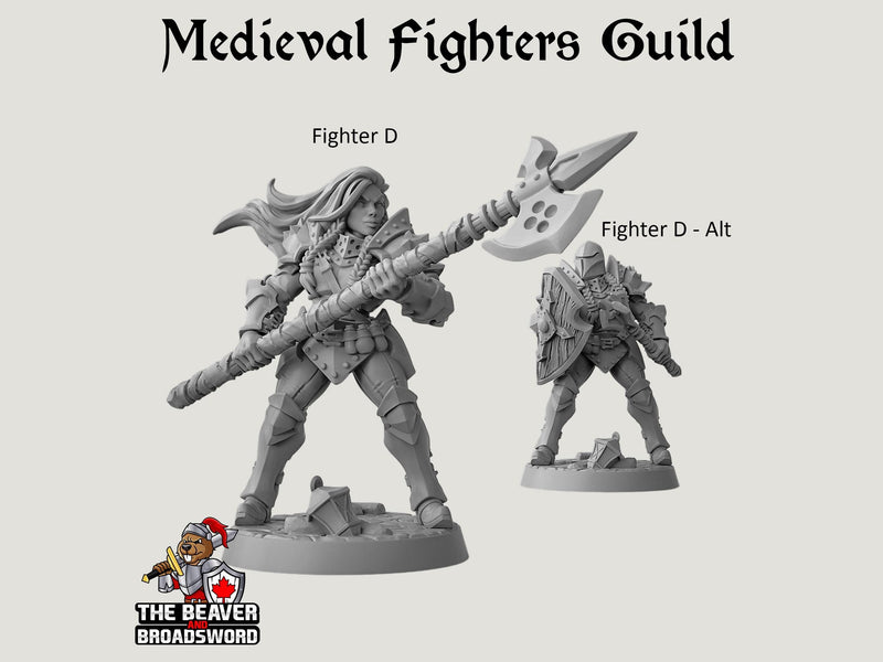 Fighter's Guild dnd mini set - Artisan Guild | Barbarian | Knight | Cleric | Paladin, Pathfinder, TTRPG, Wargaming, Warrior, Human, medieval