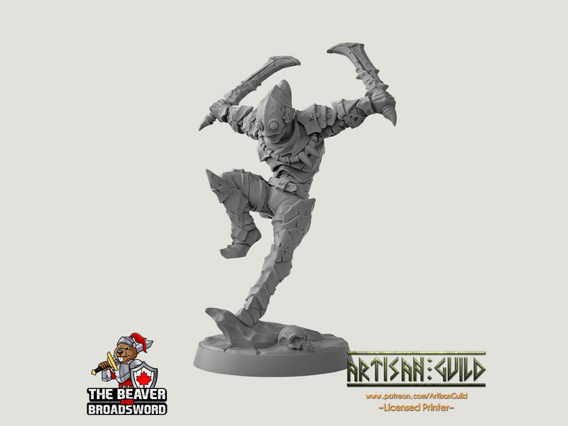 Scourgeland Survivor D dnd mini - Dungeons and Dragons | Male | Fighter | Rogue | Human 5e Fantasy Pathfinder 2e 5e Tabletop | Mini RPG