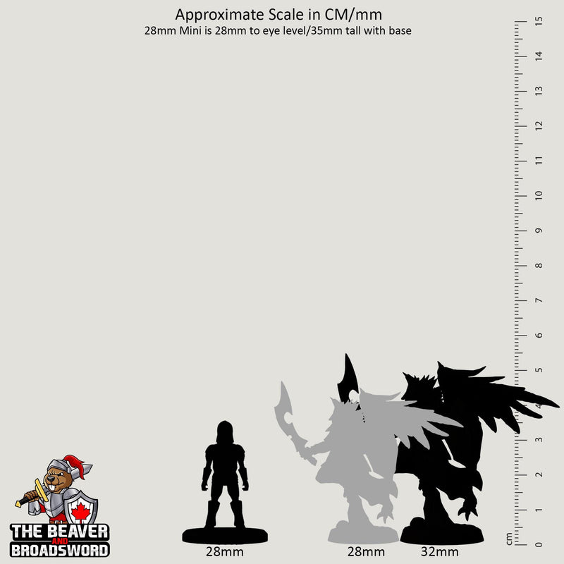 Aarakocra C Paladin Cleric Fighter premium DnD mini - High Quality Resin Printed 28mm 32mm Tabletop Miniature, Tough, Durable, Figurine