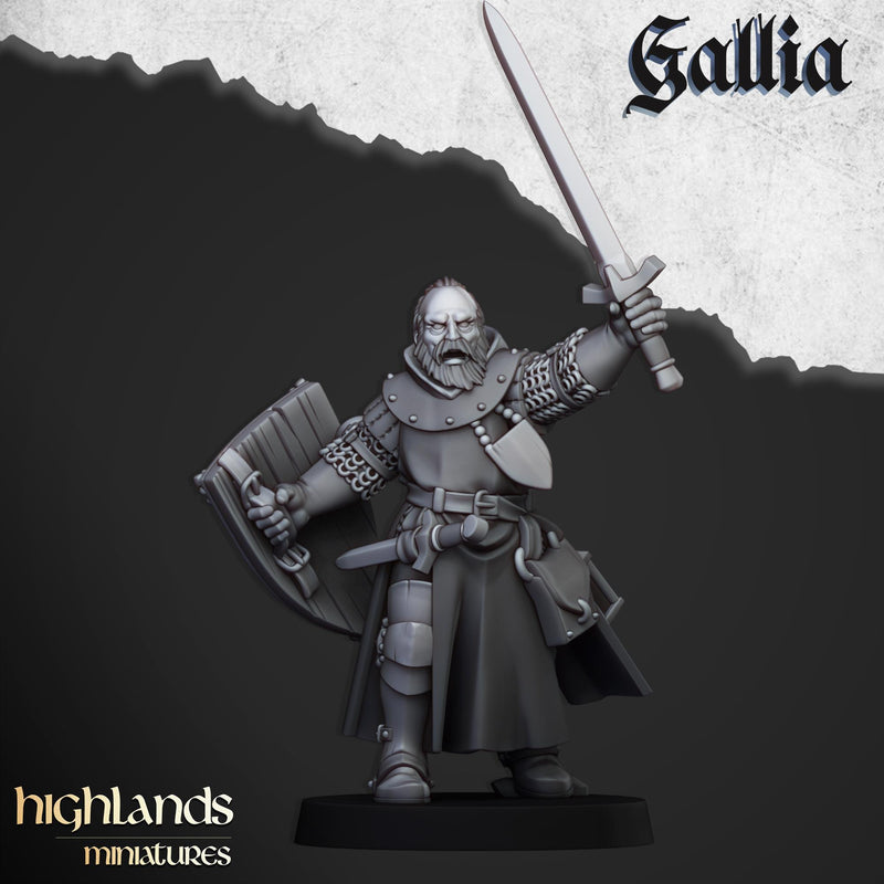 Hero Questing Knight resin Mini - 28/32mm Scale Premium Resin Models for Wargaming and ttRPG, DnD, Human, Gallia, Durable, High Quality