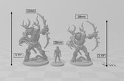 Barkwraith Primordial C, Ent, Monster, Fey, Dryad, Tree, Elven- High Quality Resin Printed 28mm 32mm Tabletop Miniature, Tough Figurine