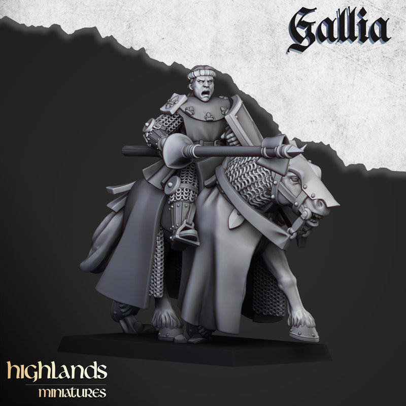 Young Knights of Gallia mini set - 28/32mm Scale Premium Resin Models for Wargaming and RPG, DnD, Human, Gallia Durable High Quality Cavalry