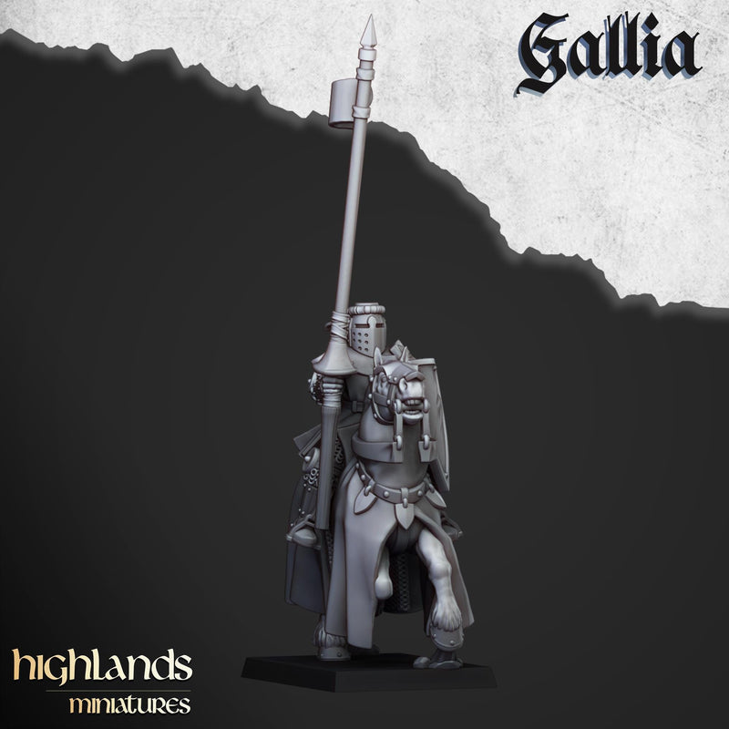 Young Knights of Gallia mini set - 28/32mm Scale Premium Resin Models for Wargaming and RPG, DnD, Human, Gallia Durable High Quality Cavalry