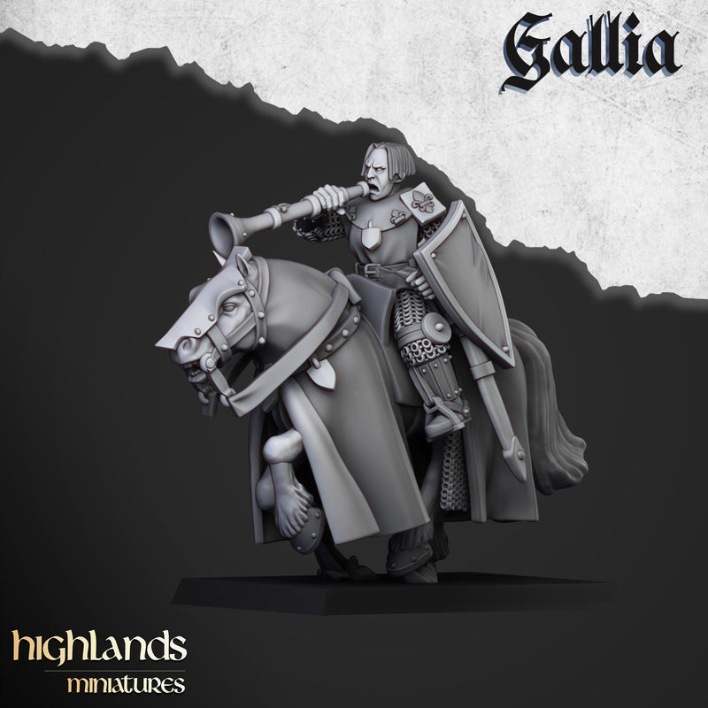 Young Knights of Gallia mini set - 28/32mm Scale Premium Resin Models for Wargaming and RPG, DnD, Human, Gallia Durable High Quality Cavalry