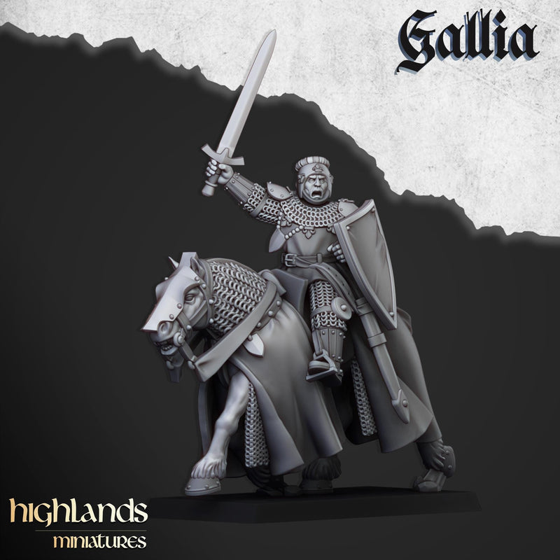 Young Knights of Gallia mini set - 28/32mm Scale Premium Resin Models for Wargaming and RPG, DnD, Human, Gallia Durable High Quality Cavalry