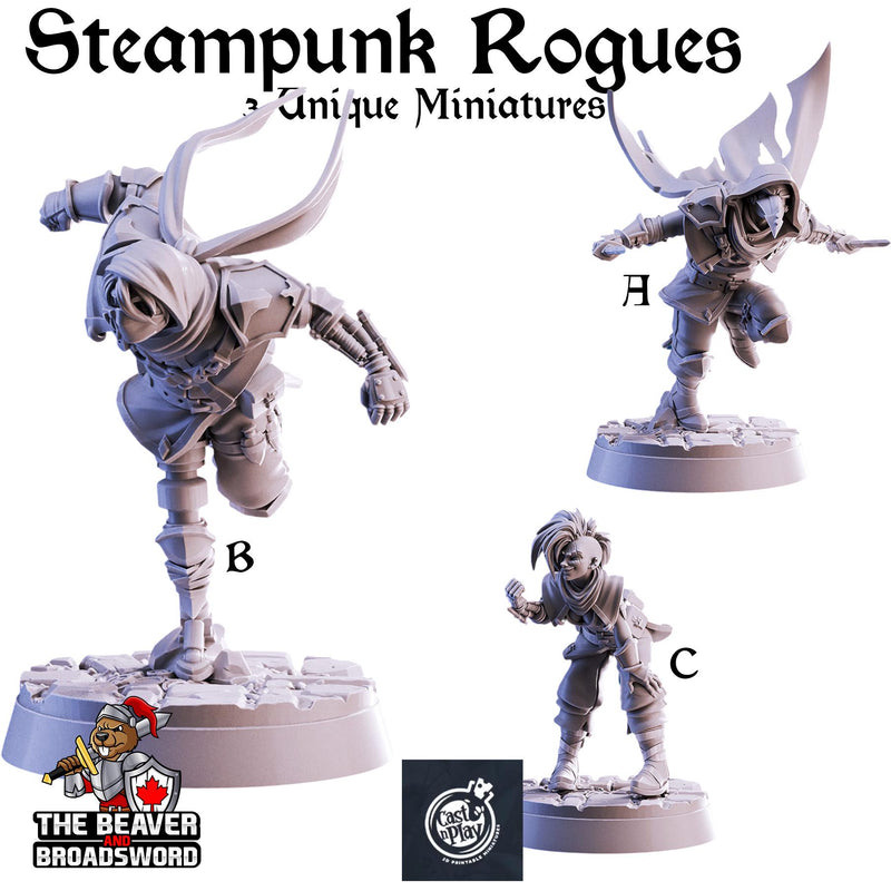 Steampunk Rogues mini set | DnD Miniature, Premium Resin, Durable and Tough for your TTRPG and Wargaming! 32mm, 28mm, Thief, Assassin