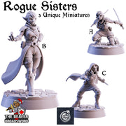 Rogue Sisters mini set | DnD Miniature, Premium Resin, Durable and Tough for your TTRPG and Wargaming! 32mm, 28mm, Thief, Assassin