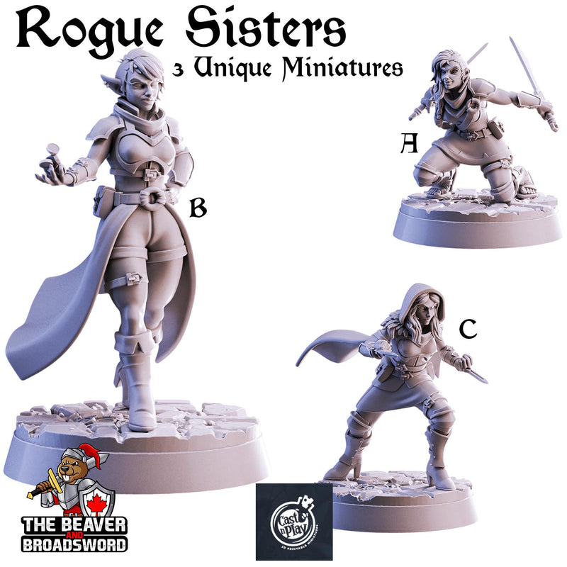 Rogue Sisters mini set | DnD Miniature, Premium Resin, Durable and Tough for your TTRPG and Wargaming! 32mm, 28mm, Thief, Assassin