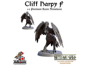 Cliff Harpies 1-12 Miniature Set | Premium Resin Miniatures for Tabletop Gaming, DnD, Wargaming and more!