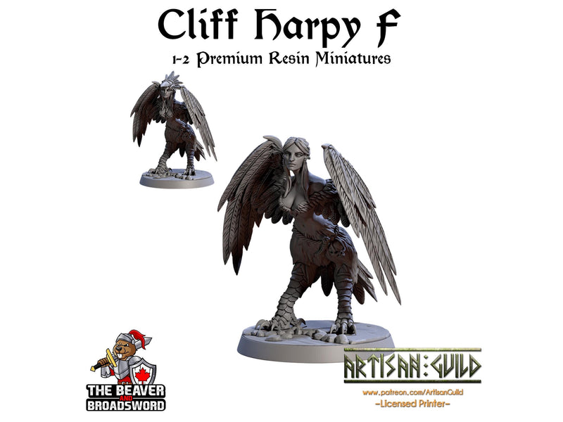 Cliff Harpies 1-12 Miniature Set | Premium Resin Miniatures for Tabletop Gaming, DnD, Wargaming and more!