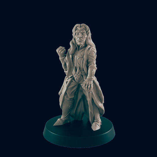 Elf Male Noble - EC3D | DnD | Elf | Villager minis | merchant | 32mm | Pathfinder | Noble | TTRPG | Wargaming