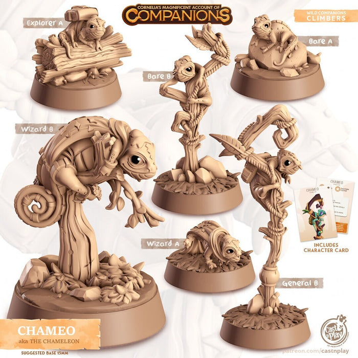 Chameo - dnd Chameleon mini - Cast N Play, Lizard, Climber, Friend, Wizard Familiar, Animal Companion, Ranger, Druid Form, Wizard, Explorer